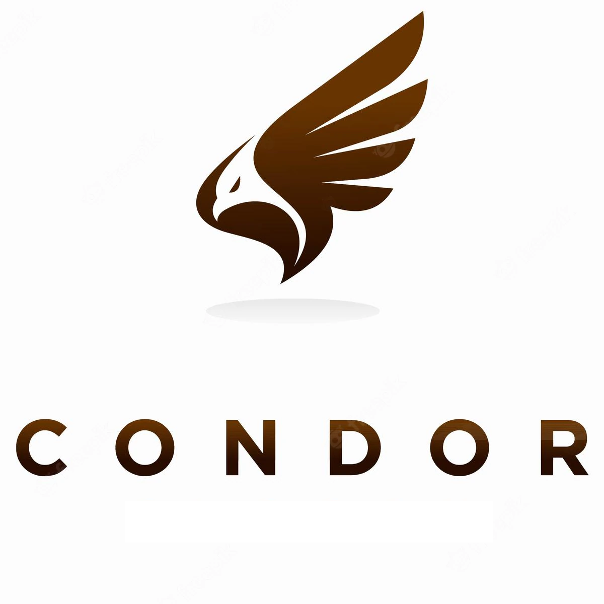 Condor rent a car logo